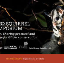 Greater and Squirrel Glider symposium