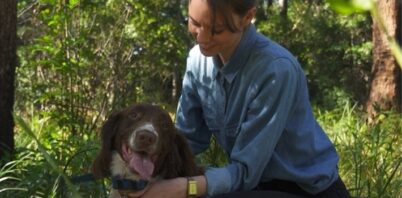 The Eco Show: Traditional rangers and scent detection dogs work hand-in-hand to restore Gumbaynggirr Country