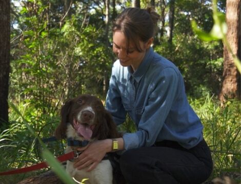 The Eco Show: Traditional rangers and scent detection dogs work hand-in-hand to restore Gumbaynggirr Country