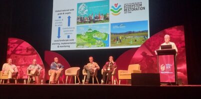 Leading environmental organisations call for national roadmap to accelerate ecosystem restoration
