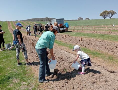Corporate volunteers dig in to help plant trees for wildlife in the K2W Link