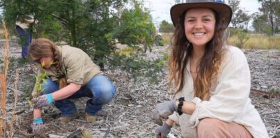 Community volunteers help plant thousands of food trees for koalas and other wildlife in Bargo