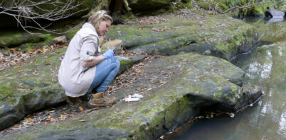Restoring Catchment Health: Entering year two of a five-year maintenance program in Buxton-Picton